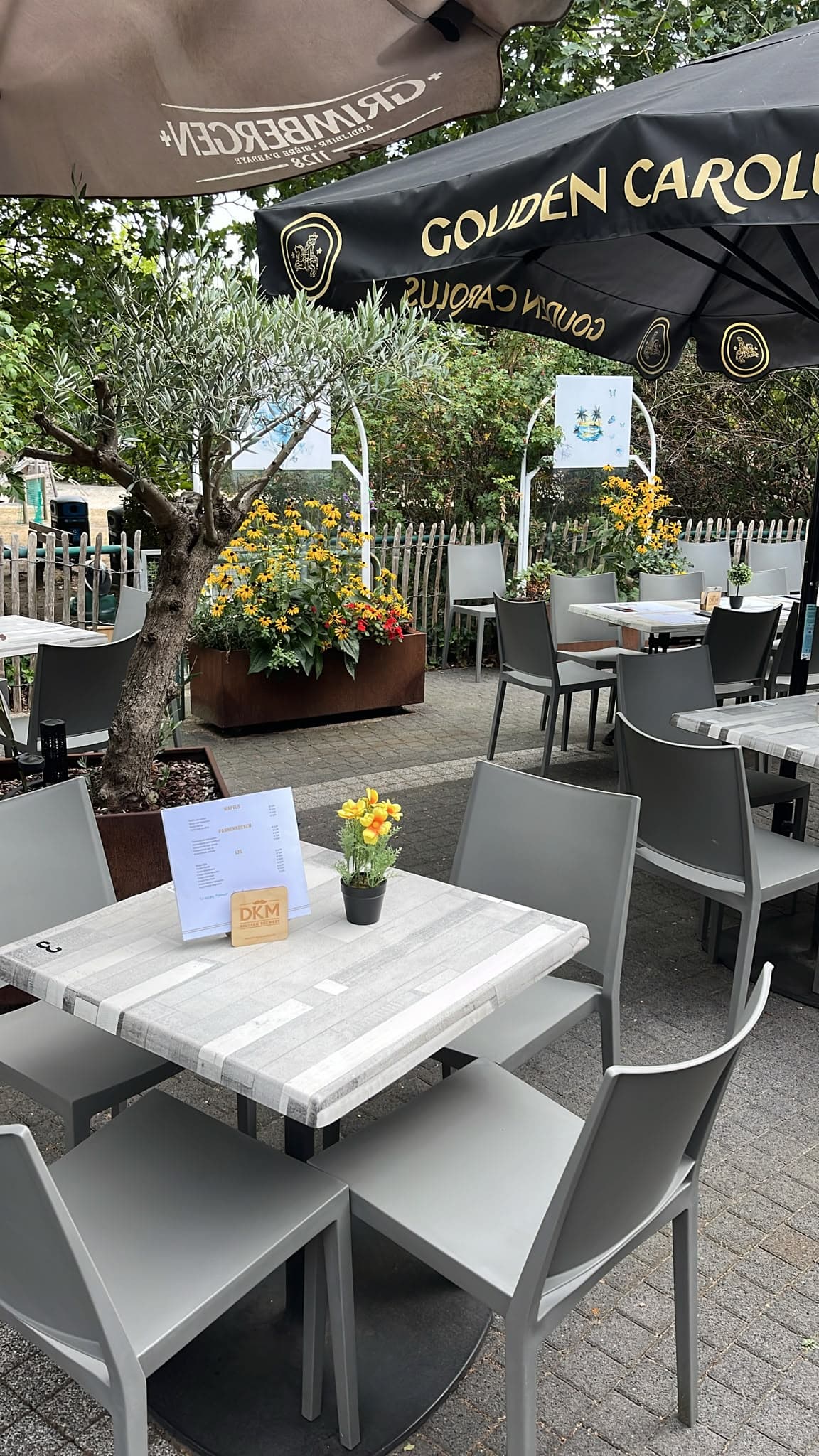 Terras van Het Buurthuis Waasmunster met bloemen en zitplaatsen