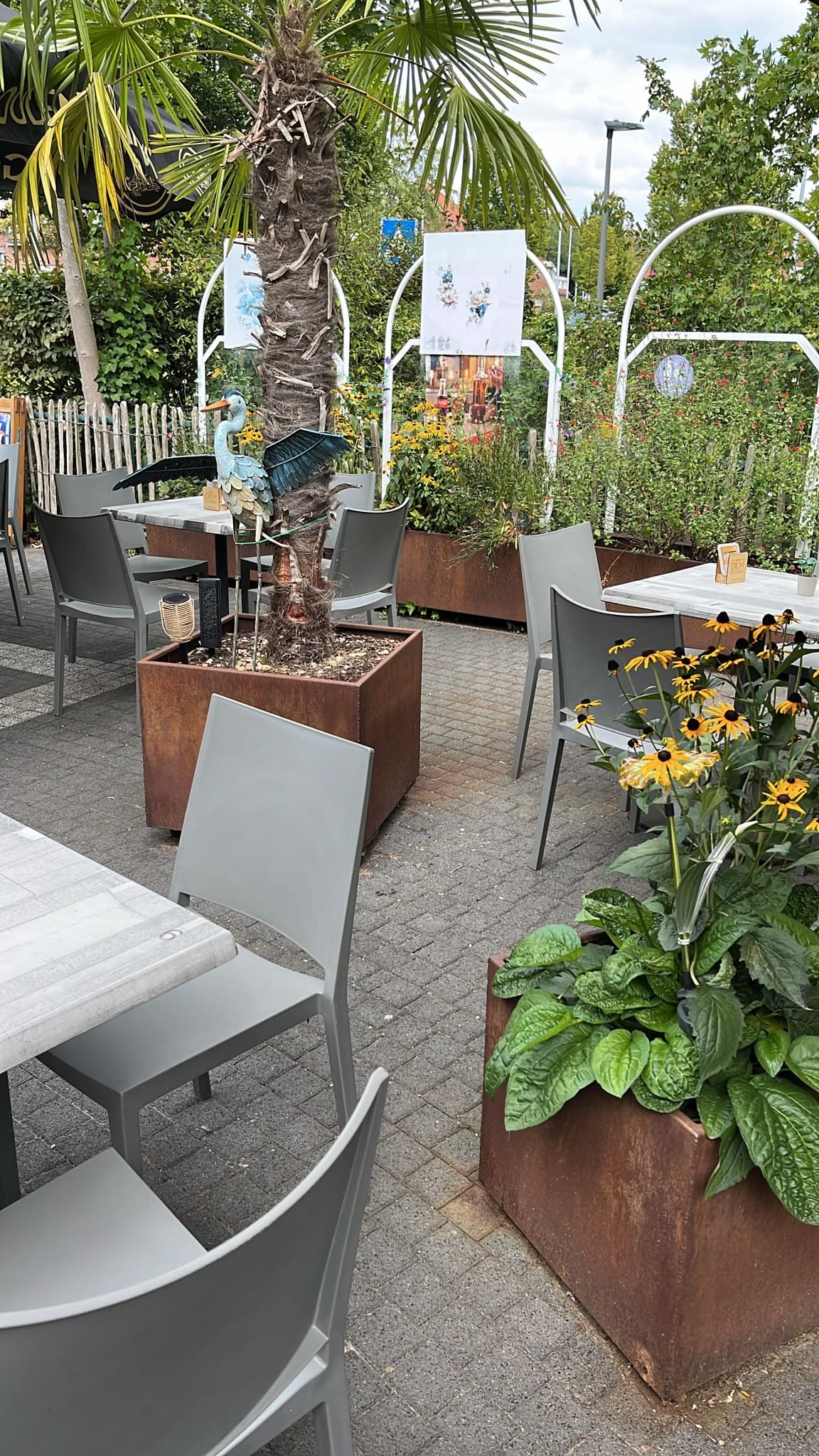 Terras van Het Buurthuis Waasmunster met palmboom en decoratie